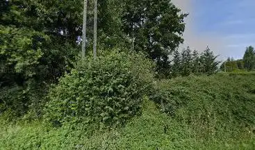 LUICOS
