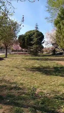 Photo de Parque Deportivo