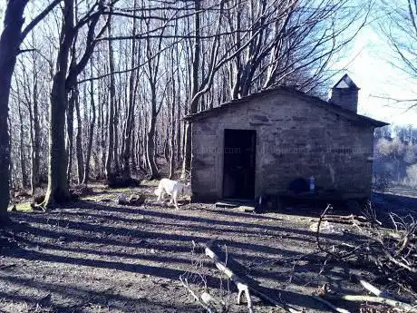 Photo de Capanna del Lavane