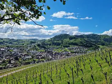 Dasenstein