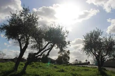 Parco Sandro Pertini