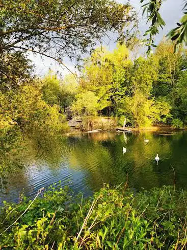 Dettenheimer Rheinniederung