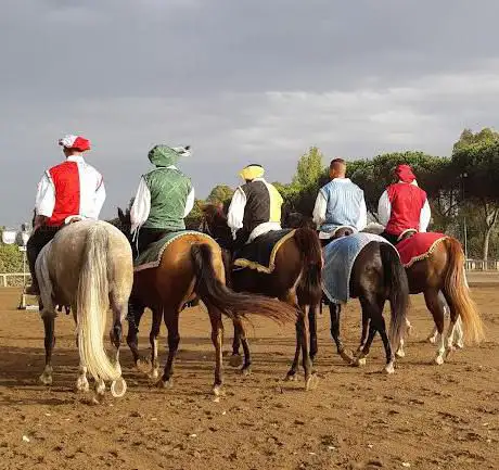 Photo de Centro Equestre Roma asd