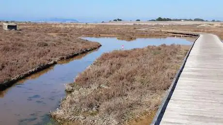 Photo de Bike Path