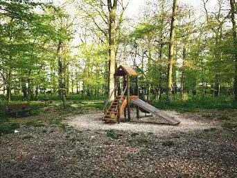 Photo de hauts de Chartres Woods