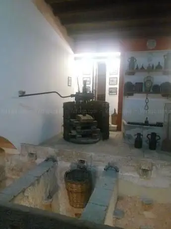 Photo de Museo Enologos - Museo Etnografico del Vino