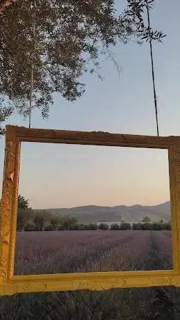 La Lavande VEMA