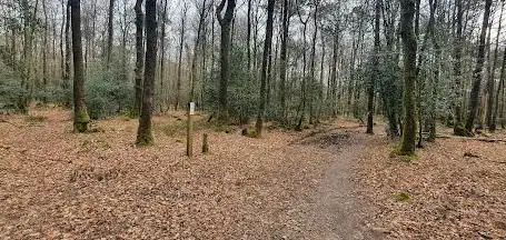 Forêt de Loudéac - Place des Marionnettes
