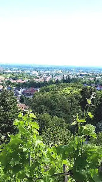 Photo de Burschel