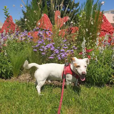 Photo de Parc Clémenceau