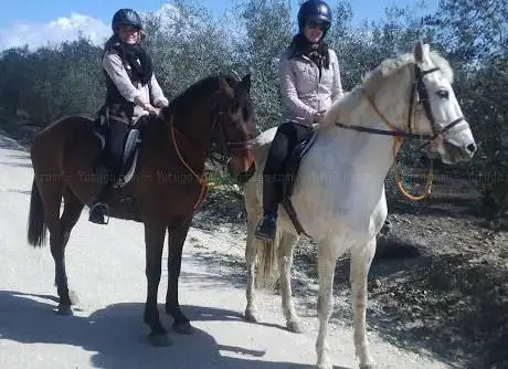 Photo de Entre Toros y Caballos Visitas a Ganaderias y Rutas a Caballo