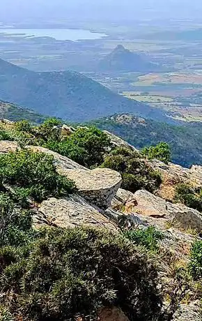 Foresta demaniale Rosas - Monte Orri