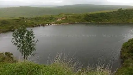 Crazywell Pool