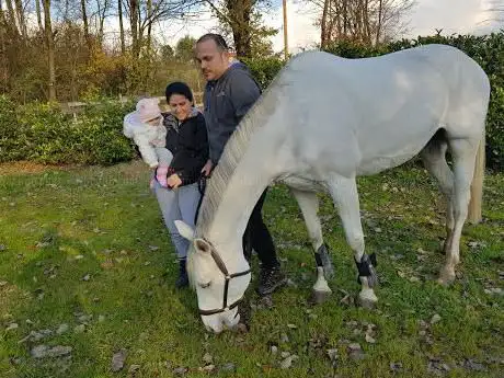 Photo de Asd Equiroyal club