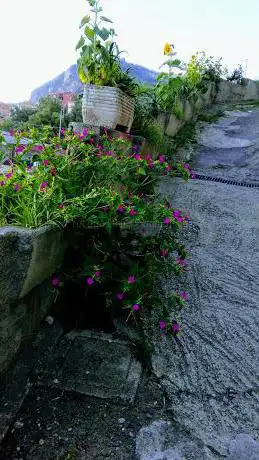Photo de Villetta Via Piave