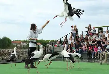 Photo de The Giants of the Sky - Flight Scene
