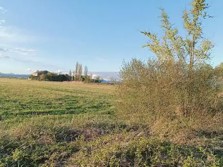 Riserva Naturale Orientata Fontanili di Corte Valle Re