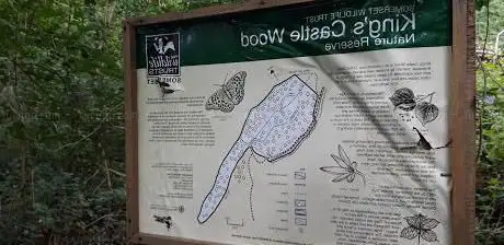Photo de King's Castle Wood