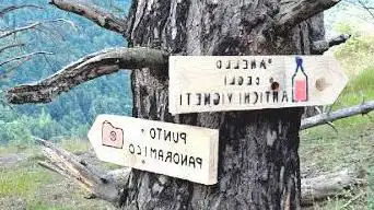 Sentiero degli Antichi Vigneti