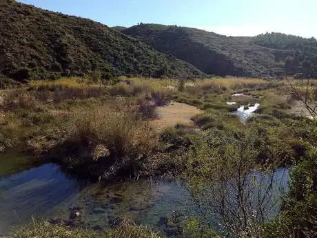 Photo de Campo Municipal 