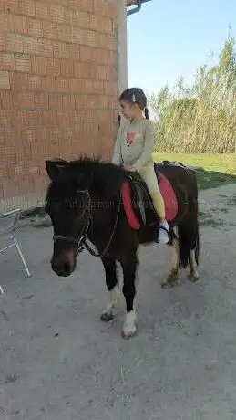 Circolo Ippico Mirmex ASD