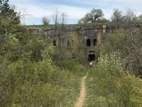 Fort Diou