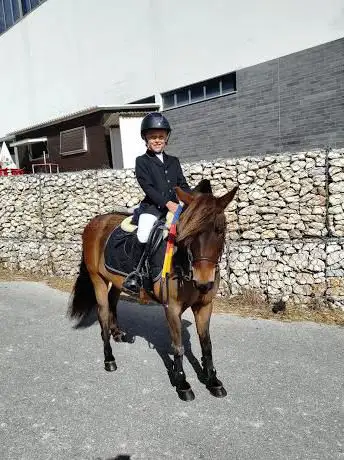 Rosenkilde Equestrian Centre