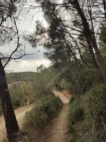 Sendero de Can Bori