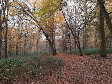 Parc Sachot