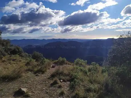 Photo de Mirador La Rápita