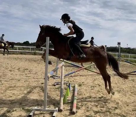 C2 Stable ASD