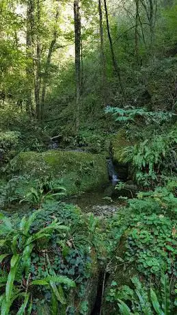 Orrido del valgua