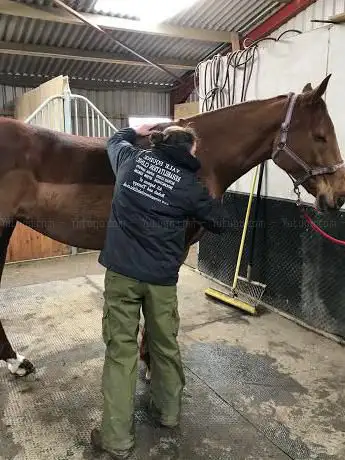 Photo de Vale Equine Rehab Clinic Ltd