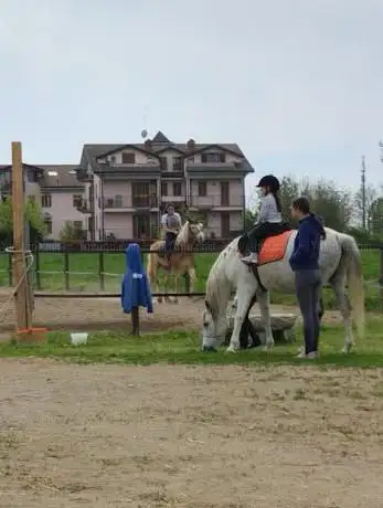 Photo de Natural Riding System