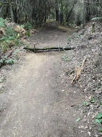 Photo de casalguidi lampredotto bikepark