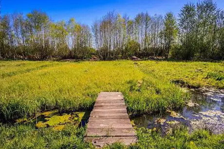 Photo de Natuurreservaat Land van Oppem