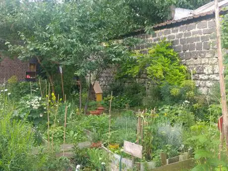 Photo de Les Jardins de Guinot
