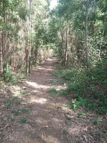 Feiteira Bike Park
