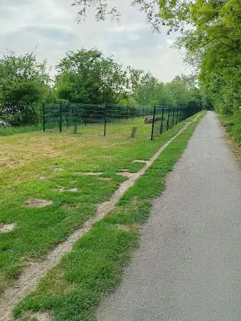 Photo de Parc à chien