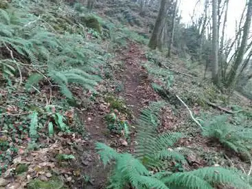 Miserey Bikepark [Temporairement Fermé]