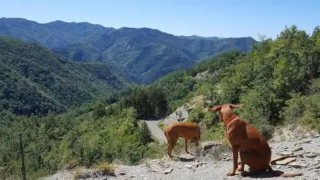 Photo de Passo Valbura