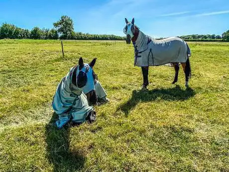 Photo de Willicote Equestrian Centre
