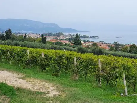 Photo de Panoramic viewpoint