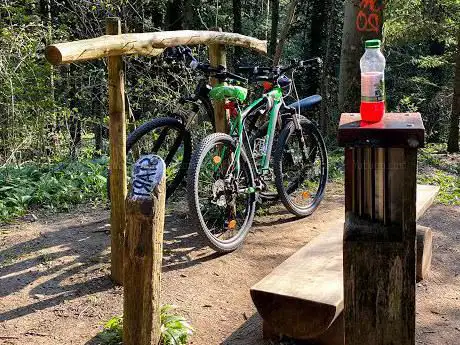 Finnenbahn Albisgüetli