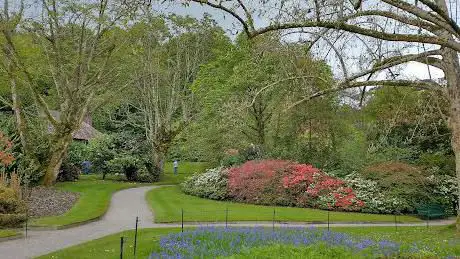Higher Garden