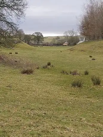 Photo de Fellside Wood (Woodland Trust)