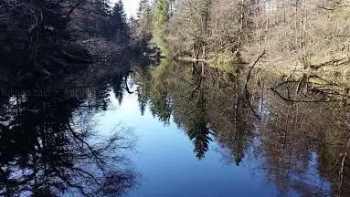 Circuit les Noirs Etangs
