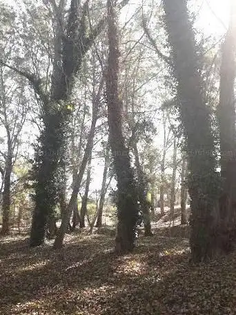 Photo de Bosc de l'alegria