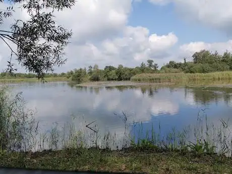 Photo de Vogelkijkhut