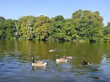 Photo de Lac des Minimes